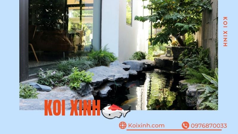 Thi Công, Thiết Kế Hồ Cá Koi Tại Phú Thọ – Bảo Hành Dài Hạn – Hotline: 0976870033 