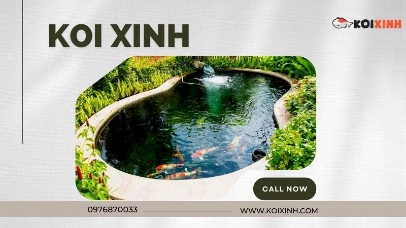 Thi Công Thiết Kế Hồ Cá Koi Tiêu Chuẩn Uy Tín Tại Hà Nội – Gọi 0976870033 Thi Công Thiết Kế Hồ Cá Koi Tiêu Chuẩn Uy Tín Tại Hà Nội – Gọi 0976870033