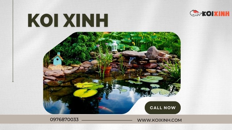 Thi Công Thiết Kế Hồ Cá Koi Tiêu Chuẩn Uy Tín Tại Hà Nội – Gọi 0976870033 Thi Công Thiết Kế Hồ Cá Koi Tiêu Chuẩn Uy Tín Tại Hà Nội – Gọi 0976870033