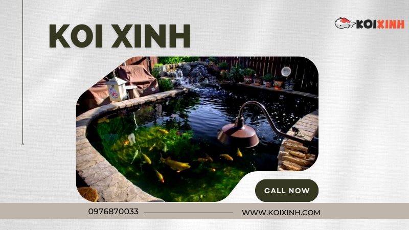 Thi Công Thiết Kế Hồ Cá Koi Tiêu Chuẩn Uy Tín Tại Hà Nội – Gọi 0976870033 Thi Công Thiết Kế Hồ Cá Koi Tiêu Chuẩn Uy Tín Tại Hà Nội – Gọi 0976870033