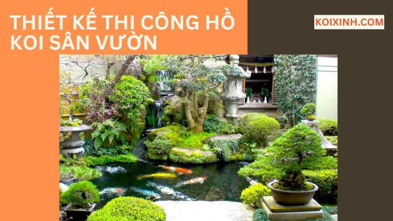 Thiết Kế Thi Công Hồ Koi Tiểu Cảnh Sân Vườn