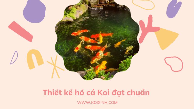 Đơn Vị Thiết Kế, Thi Công Hồ Cá Koi Tại Hà Nội – Giá Rẻ, Bảo Hành Dài Hạn Đơn Vị Thiết Kế, Thi Công Hồ Cá Koi Tại Hà Nội – Giá Rẻ, Bảo Hành Dài Hạn