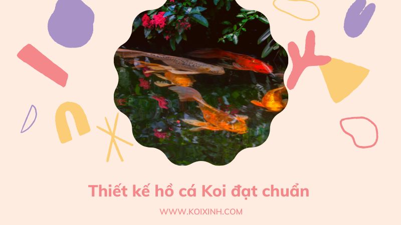 Đơn Vị Thiết Kế, Thi Công Hồ Cá Koi Tại Hà Nội – Giá Rẻ, Bảo Hành Dài Hạn Đơn Vị Thiết Kế, Thi Công Hồ Cá Koi Tại Hà Nội – Giá Rẻ, Bảo Hành Dài Hạn