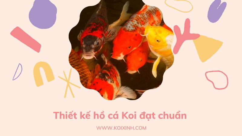 Đơn Vị Thiết Kế, Thi Công Hồ Cá Koi Tại Hà Nội – Giá Rẻ, Bảo Hành Dài Hạn Đơn Vị Thiết Kế, Thi Công Hồ Cá Koi Tại Hà Nội – Giá Rẻ, Bảo Hành Dài Hạn