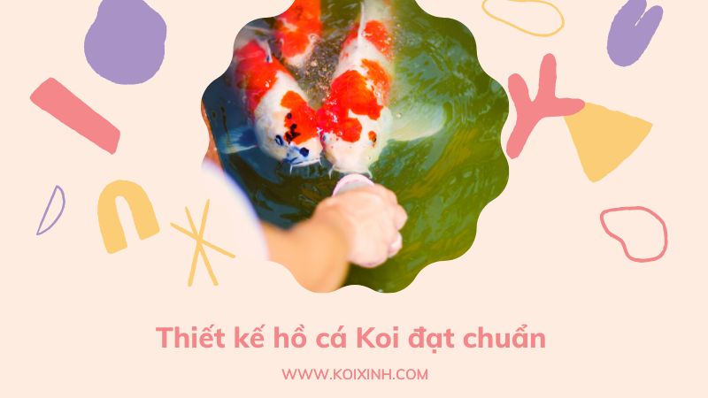 Đơn Vị Thiết Kế, Thi Công Hồ Cá Koi Tại Hà Nội – Giá Rẻ, Bảo Hành Dài Hạn Đơn Vị Thiết Kế, Thi Công Hồ Cá Koi Tại Hà Nội – Giá Rẻ, Bảo Hành Dài Hạn