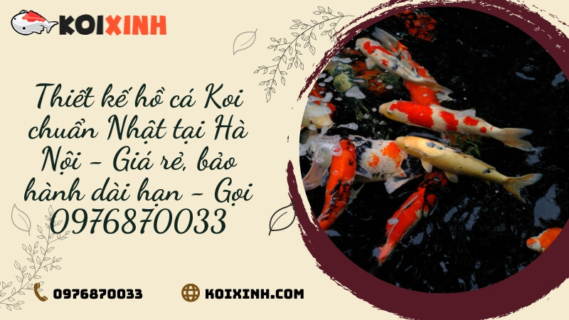 Thiết Kế Hồ Cá Koi Chuẩn Nhật Tại Hà Nội – Giá Rẻ, Bảo Hành Dài Hạn – Gọi 0976870033