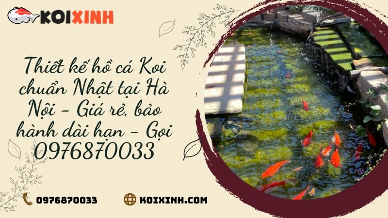 Thiết Kế Hồ Cá Koi Chuẩn Nhật Tại Hà Nội – Giá Rẻ, Bảo Hành Dài Hạn – Gọi 0976870033 Thiết Kế Hồ Cá Koi Chuẩn Nhật Tại Hà Nội – Giá Rẻ, Bảo Hành Dài Hạn – Gọi 0976870033