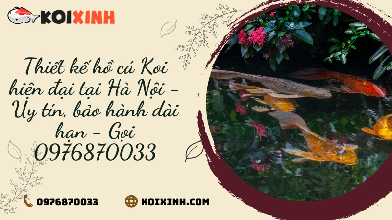 Thiết Kế Hồ Cá Koi Hiện đại Tại Hà Nội – Uy Tín, Bảo Hành Dài Hạn – Gọi 0976870033