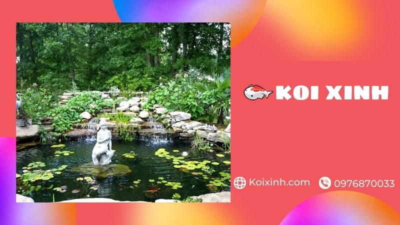 Thiết Kế, Thi Công Hồ Koi Tại Hải Dương đạt Chuẩn – Giá Rẻ, Bảo Hành Dài Hạn – Gọi 0976870033