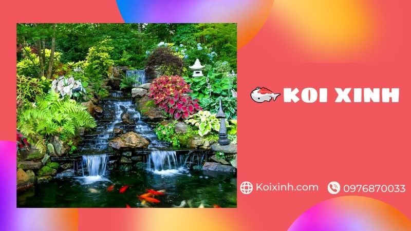 Thiết Kế, Thi Công Hồ Koi Tại Hải Dương đạt Chuẩn – Giá Rẻ, Bảo Hành Dài Hạn – Gọi 0976870033