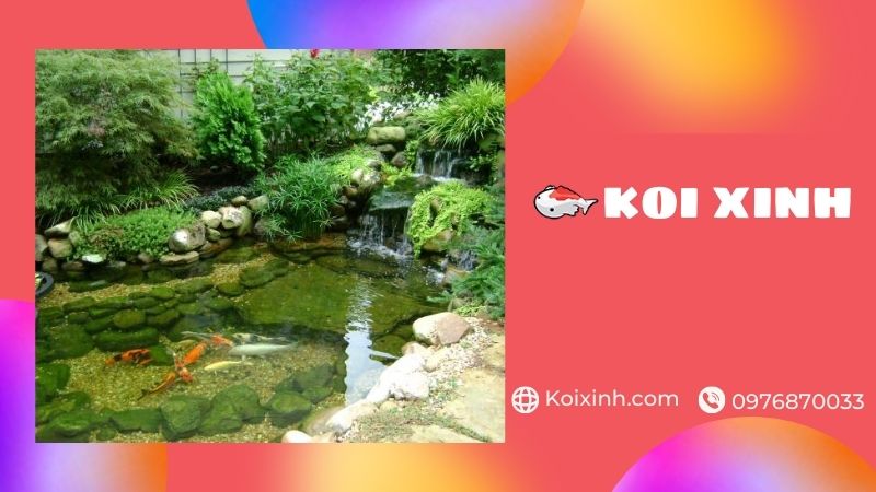 Thiết Kế, Thi Công Hồ Koi Tại Hải Dương đạt Chuẩn – Giá Rẻ, Bảo Hành Dài Hạn – Gọi 0976870033
