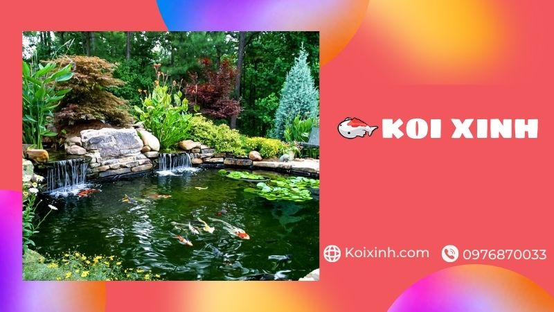 Thiết Kế, Thi Công Hồ Koi Tại Hải Dương đạt Chuẩn – Giá Rẻ, Bảo Hành Dài Hạn – Gọi 0976870033