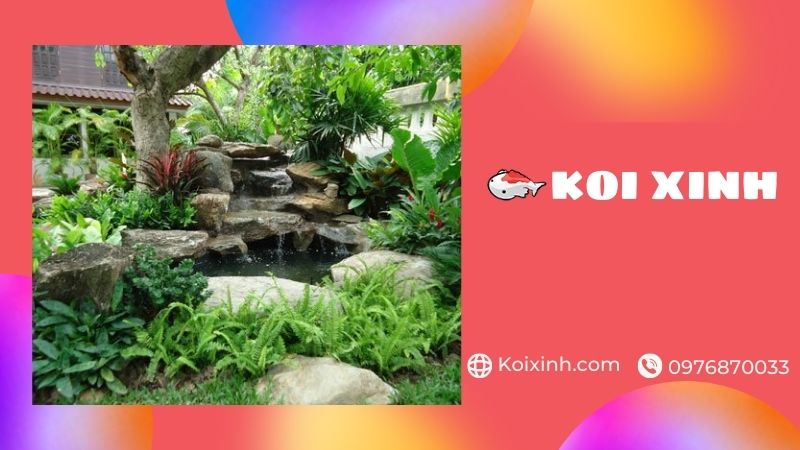 Thiết Kế, Thi Công Hồ Koi Tại Hải Dương đạt Chuẩn – Giá Rẻ, Bảo Hành Dài Hạn – Gọi 0976870033