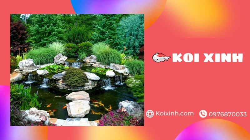 Thiết Kế, Thi Công Hồ Koi Tại Hải Dương đạt Chuẩn – Giá Rẻ, Bảo Hành Dài Hạn – Gọi 0976870033