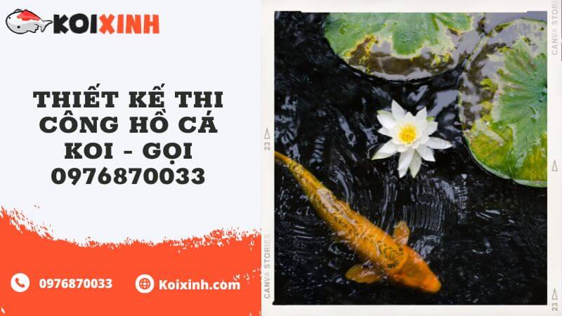 Thiết Kế Thi Công Hồ Cá Koi – Gọi 0976870033 Thiết Kế Thi Công Hồ Cá Koi – Gọi 0976870033