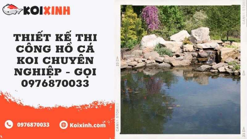 Thiết Kế Thi Công Hồ Cá Koi Chuyên Nghiệp – Gọi 0976870033 Thiết Kế Thi Công Hồ Cá Koi Chuyên Nghiệp – Gọi 0976870033