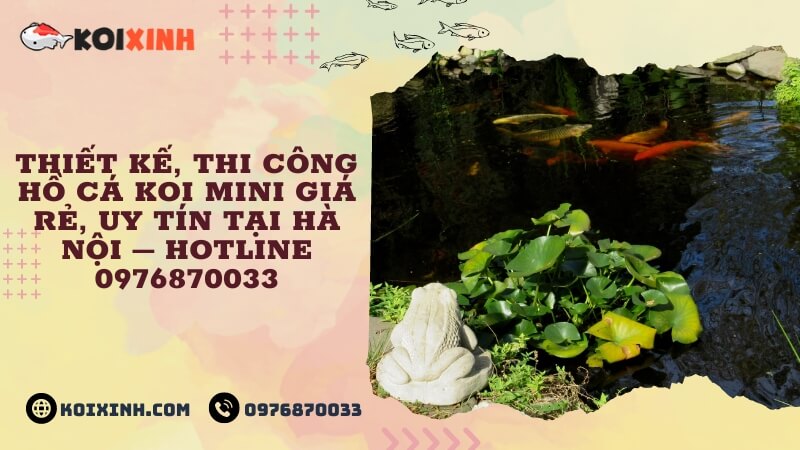 Thiết Kế, Thi Công Hồ Cá Koi Mini Giá Rẻ, Uy Tín Tại Hà Nội – Hotline 0976870033 Thiết Kế, Thi Công Hồ Cá Koi Mini Giá Rẻ, Uy Tín Tại Hà Nội – Hotline 0976870033