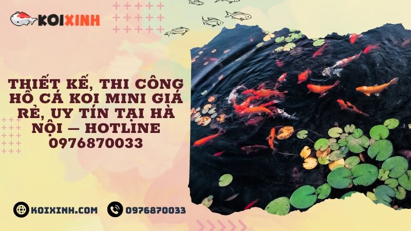 Thiết Kế, Thi Công Hồ Cá Koi Mini Giá Rẻ, Uy Tín Tại Hà Nội – Hotline 0976870033
