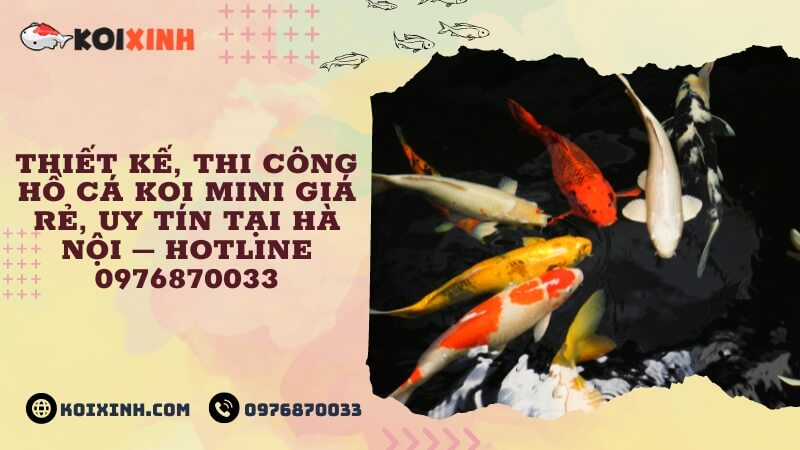 Thiết Kế, Thi Công Hồ Cá Koi Mini Giá Rẻ, Uy Tín Tại Hà Nội – Hotline 0976870033 Thiết Kế, Thi Công Hồ Cá Koi Mini Giá Rẻ, Uy Tín Tại Hà Nội – Hotline 0976870033