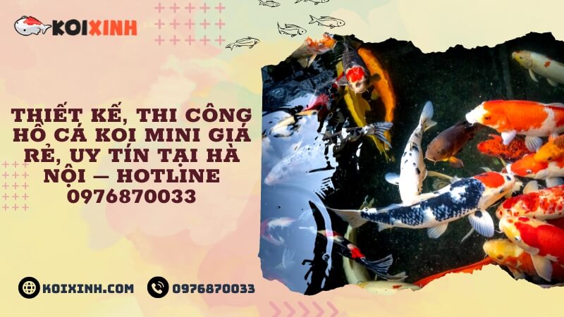 Thiết Kế, Thi Công Hồ Cá Koi Mini Giá Rẻ, Uy Tín Tại Hà Nội – Hotline 0976870033 Thiết Kế, Thi Công Hồ Cá Koi Mini Giá Rẻ, Uy Tín Tại Hà Nội – Hotline 0976870033