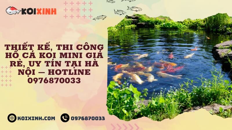 Thiết Kế, Thi Công Hồ Cá Koi Mini Giá Rẻ, Uy Tín Tại Hà Nội – Hotline 0976870033 Thiết Kế, Thi Công Hồ Cá Koi Mini Giá Rẻ, Uy Tín Tại Hà Nội – Hotline 0976870033