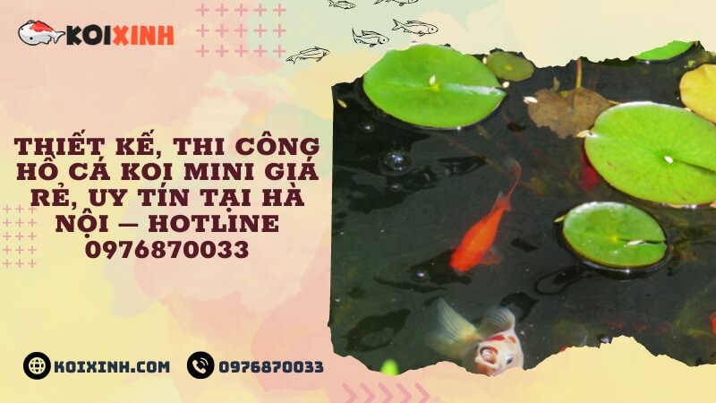 Thiết Kế, Thi Công Hồ Cá Koi Mini Giá Rẻ, Uy Tín Tại Hà Nội – Hotline 0976870033