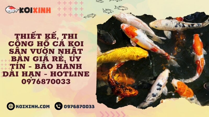Thiết Kế, Thi Công Hồ Cá Koi Sân Vườn Nhật Bản Giá Rẻ, Uy Tín – Bảo Hành Dài Hạn – Hotline 0976870033 Thiết Kế, Thi Công Hồ Cá Koi Sân Vườn Nhật Bản Giá Rẻ, Uy Tín – Bảo Hành Dài Hạn – Hotline 0976870033