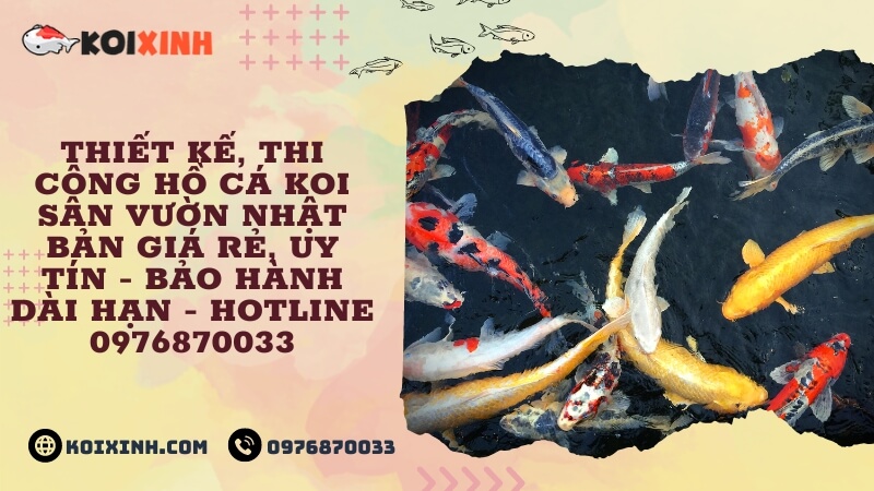 Thiết Kế, Thi Công Hồ Cá Koi Sân Vườn Nhật Bản Giá Rẻ, Uy Tín – Bảo Hành Dài Hạn – Hotline 0976870033 Thiết Kế, Thi Công Hồ Cá Koi Sân Vườn Nhật Bản Giá Rẻ, Uy Tín – Bảo Hành Dài Hạn – Hotline 0976870033