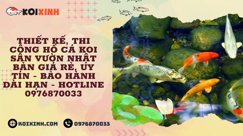 Thiết Kế, Thi Công Hồ Cá Koi Sân Vườn Nhật Bản Giá Rẻ, Uy Tín – Bảo Hành Dài Hạn – Hotline 0976870033 Thiết Kế, Thi Công Hồ Cá Koi Sân Vườn Nhật Bản Giá Rẻ, Uy Tín – Bảo Hành Dài Hạn – Hotline 0976870033