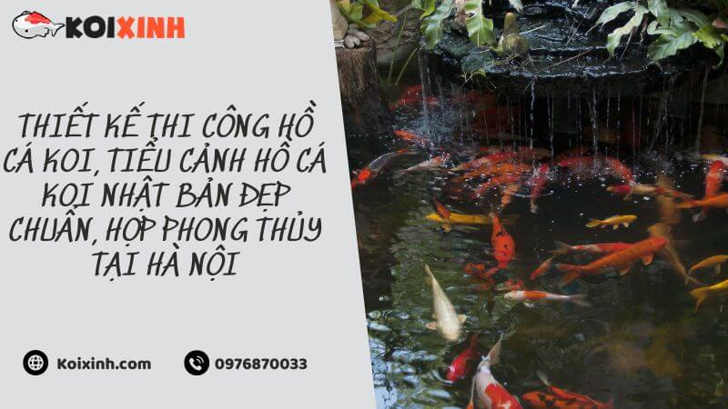 Thiết Kế Thi Công Hồ Cá Koi, Tiểu Cảnh Hồ Cá Koi Nhật Bản đẹp Chuẩn, Hợp Phong Thủy Tại Hà Nội Thiết Kế Thi Công Hồ Cá Koi, Tiểu Cảnh Hồ Cá Koi Nhật Bản đẹp Chuẩn, Hợp Phong Thủy Tại Hà Nội