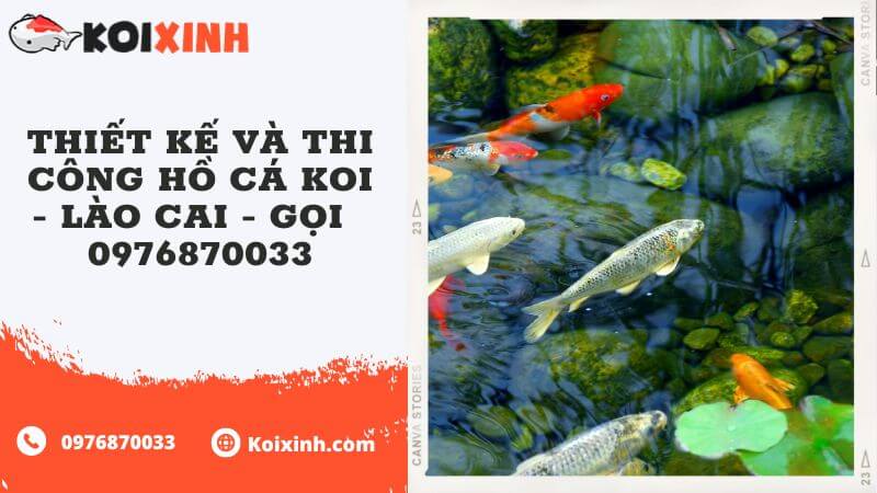 Thiết Kế Và Thi Công Hồ Cá Koi – Lào Cai – Gọi  0976870033