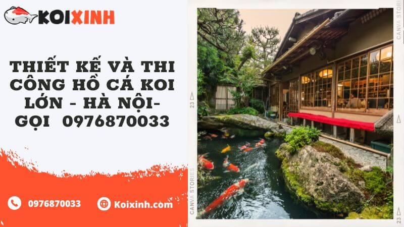 Thiết Kế Và Thi Công Hồ Cá Koi Lớn – Hà Nội- Gọi  0976870033