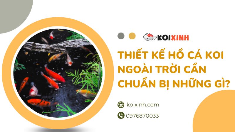 Thiết Kế Hồ Cá Koi Ngoài Trời Cần Chuẩn Bị Những Gì?