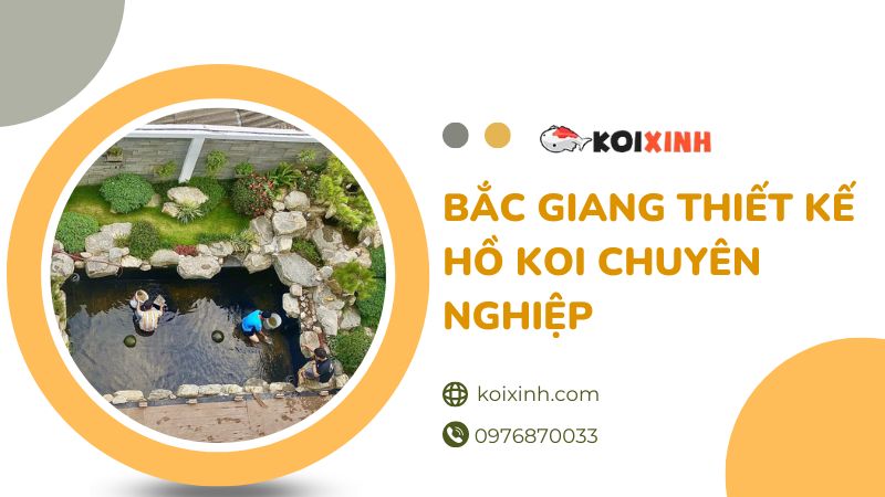 Bắc Giang Thiết Kế Hồ Koi Chuyên Nghiệp – Đạt Chuẩn – Bảo Hành Dài Hạn – Gọi 0976870033