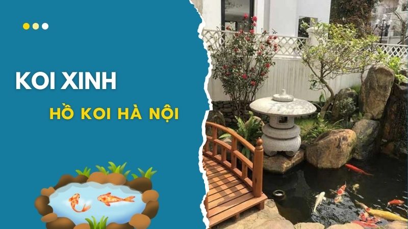 Hà Nội Thiết Kế, Thi Công Hồ Cá Koi đẳng Cấp