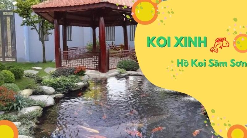 Sầm Sơn Thi Công Hồ Koi Chuyên Nghiệp – Uy Tín – Chất Lượng – Bảo Hành Dài Hạn – Liên Hệ 0976870033 Sầm Sơn Thi Công Hồ Koi Chuyên Nghiệp – Uy Tín – Chất Lượng – Bảo Hành Dài Hạn – Liên Hệ 0976870033