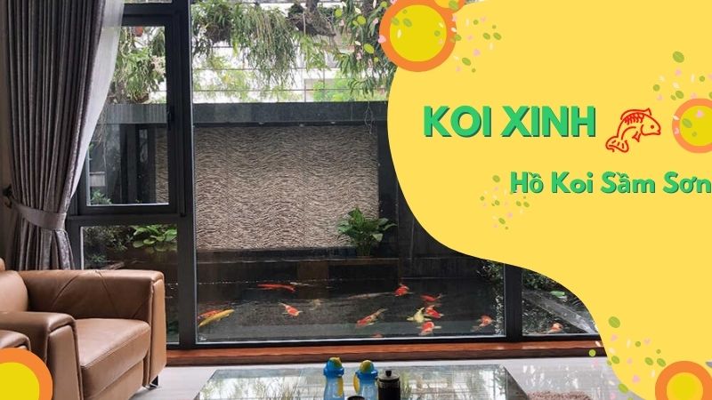 Sầm Sơn Thi Công Hồ Koi Chuyên Nghiệp – Uy Tín – Chất Lượng – Bảo Hành Dài Hạn – Liên Hệ 0976870033 Sầm Sơn Thi Công Hồ Koi Chuyên Nghiệp – Uy Tín – Chất Lượng – Bảo Hành Dài Hạn – Liên Hệ 0976870033