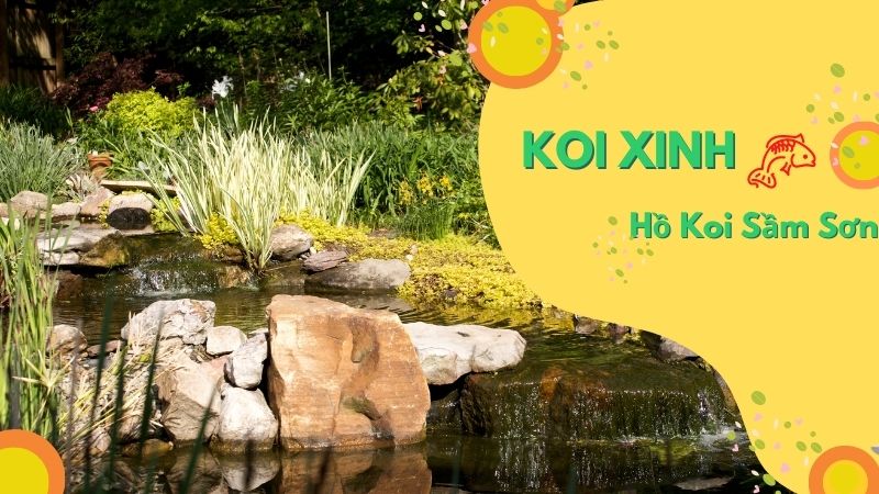 Sầm Sơn Thi Công Hồ Koi Chuyên Nghiệp – Uy Tín – Chất Lượng – Bảo Hành Dài Hạn – Liên Hệ 0976870033 Sầm Sơn Thi Công Hồ Koi Chuyên Nghiệp – Uy Tín – Chất Lượng – Bảo Hành Dài Hạn – Liên Hệ 0976870033