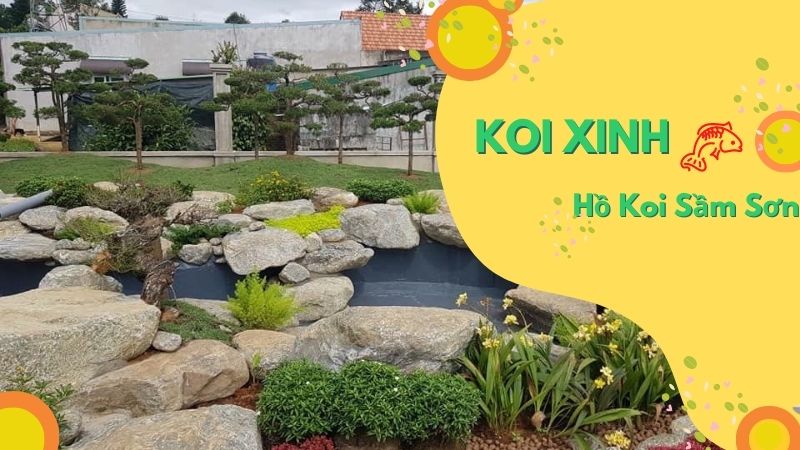 Sầm Sơn Thi Công Hồ Koi Chuyên Nghiệp – Uy Tín – Chất Lượng – Bảo Hành Dài Hạn – Liên Hệ 0976870033