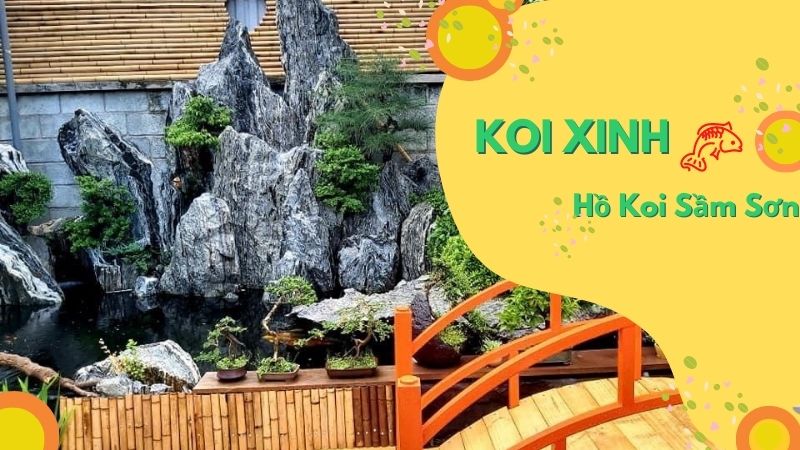 Sầm Sơn Thi Công Hồ Koi Chuyên Nghiệp – Uy Tín – Chất Lượng – Bảo Hành Dài Hạn – Liên Hệ 0976870033