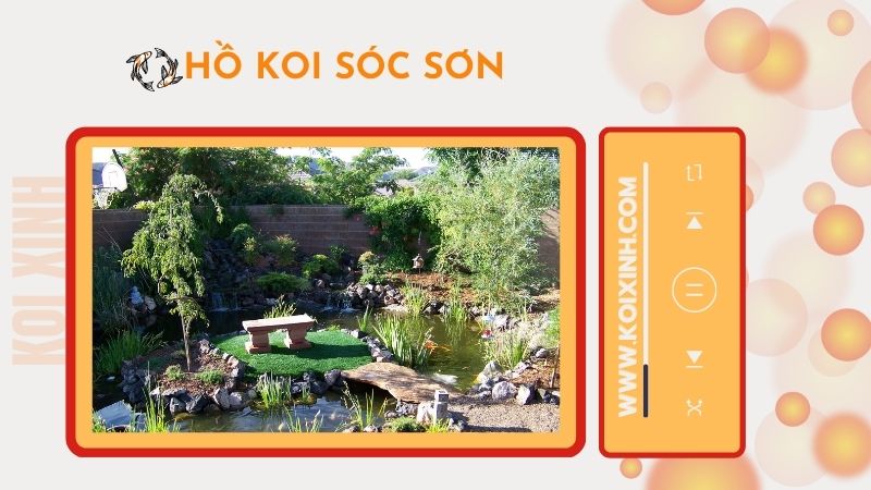 Thiết Kế Hồ Koi Sóc Sơn – Chuyên Nghiệp – Uy Tín – Bảo Hành Dài Hạn – Liên Hệ 0976870033