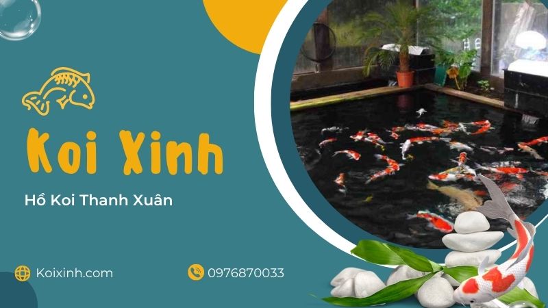 Thanh Xuân Thi Công Hồ Koi Chuyên Nghiệp – Đạt Chuẩn