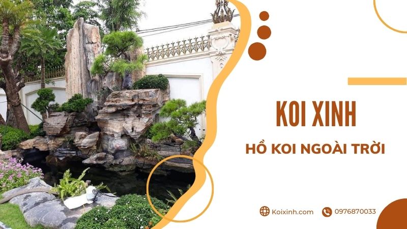 Thiết Kế Hồ Cá Koi Ngoài Trời đẹp đơn Giản – Những Lưu ý Cần Biết