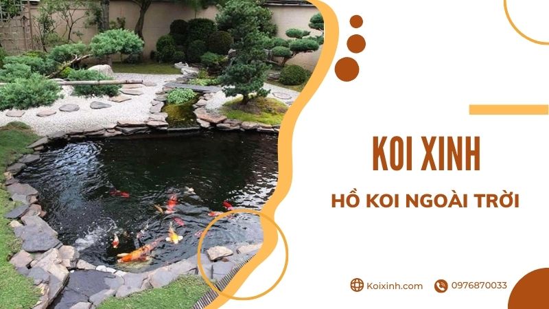 Thiết Kế Hồ Cá Koi Ngoài Trời đẹp đơn Giản – Những Lưu ý Cần Biết