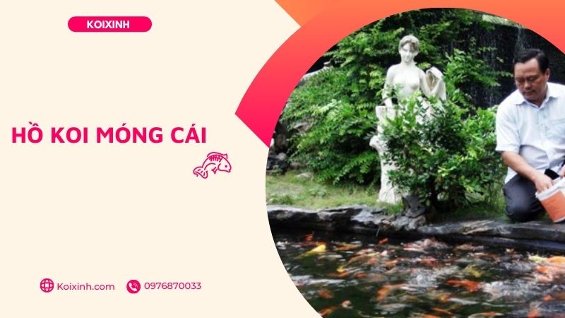 Móng Cái Thiết Kế Hồ Koi Uy Tín – Chuyên Nghiệp – Bảo Hành Dài Hạn – Gọi 0976870033