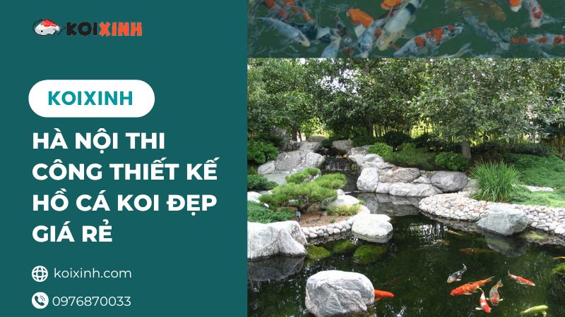 Hà Nội Thi Công Thiết Kế Hồ Cá Koi đẹp Giá Rẻ – Bảo Hành Dài Hạn – Gọi 0976870033