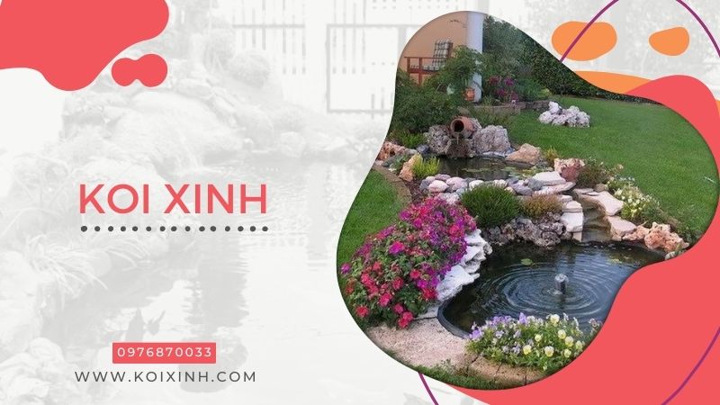 Đơn Vị Koi Xinh – Chuyên Thi Công Thiết Kế Hồ Cá Koi Giá Rẻ Tại Hà Nội – Gọi 0976870033