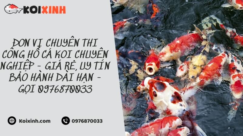 Đơn Vị Chuyên Thi Công Hồ Cá Koi Chuyên Nghiệp – Giá Rẻ, Uy Tín Bảo Hành Dài Hạn – Gọi 0976870033