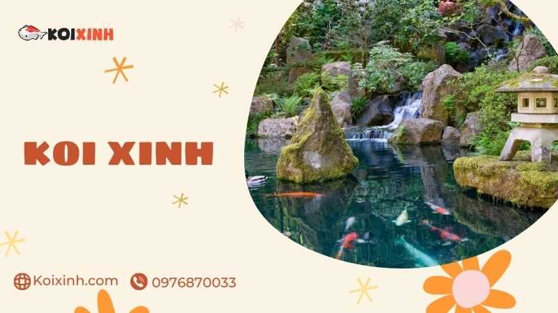 Đơn Vị Chuyên Thi Công Thiết Kế Hồ Cá Koi Tại Hưng Yên – Uy Tín, Bảo Hành Dài Hạn – Gọi 0976870033
