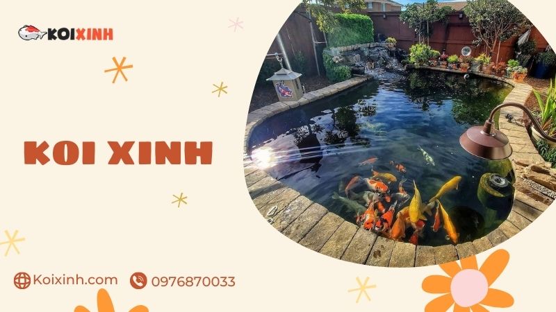 Đơn Vị Chuyên Thi Công Thiết Kế Hồ Cá Koi Tại Hưng Yên – Uy Tín, Bảo Hành Dài Hạn – Gọi 0976870033